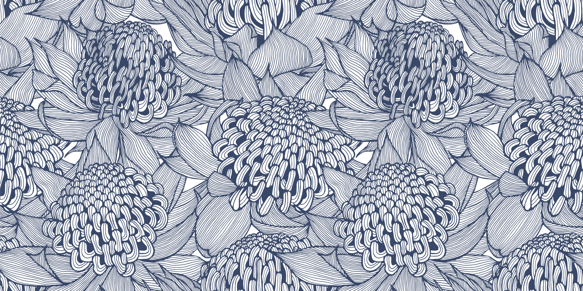 Spotlight on Patricia Braune