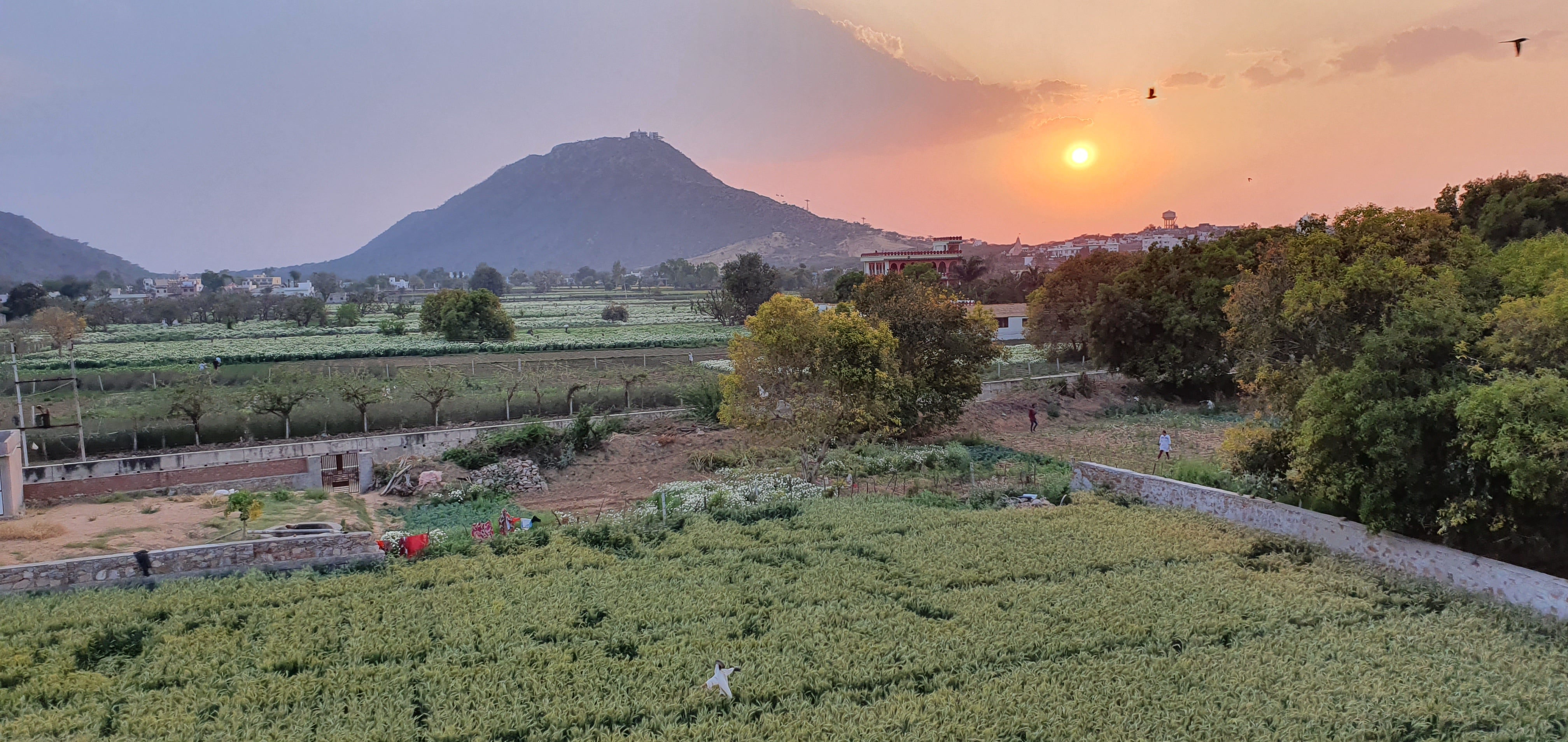 My Mad Dash Home from India