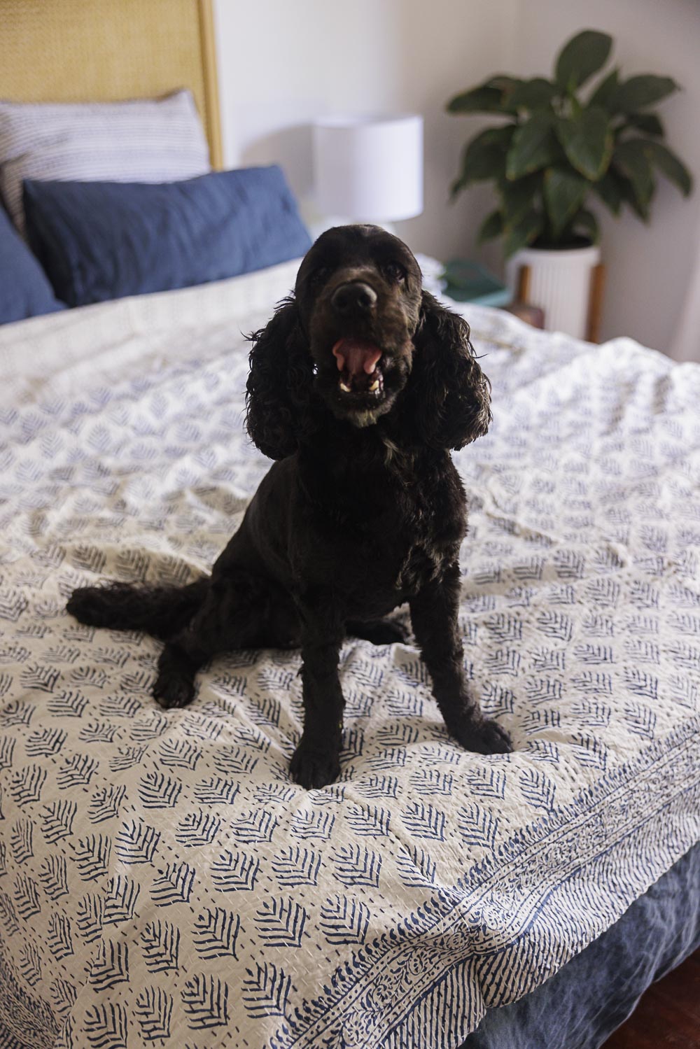Kantha Quilt Indigo Fern