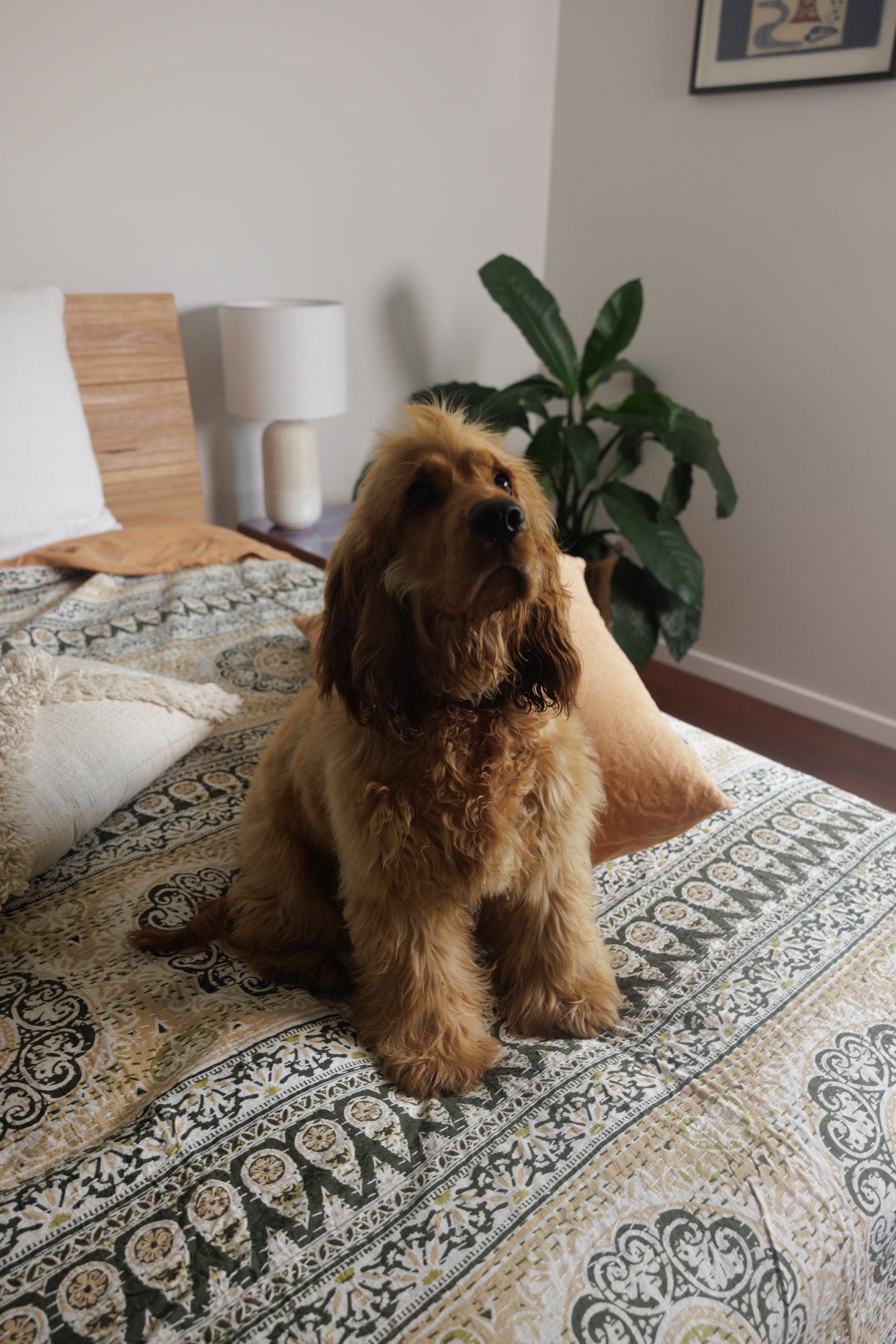 Kantha Quilt Rustic Sunrise