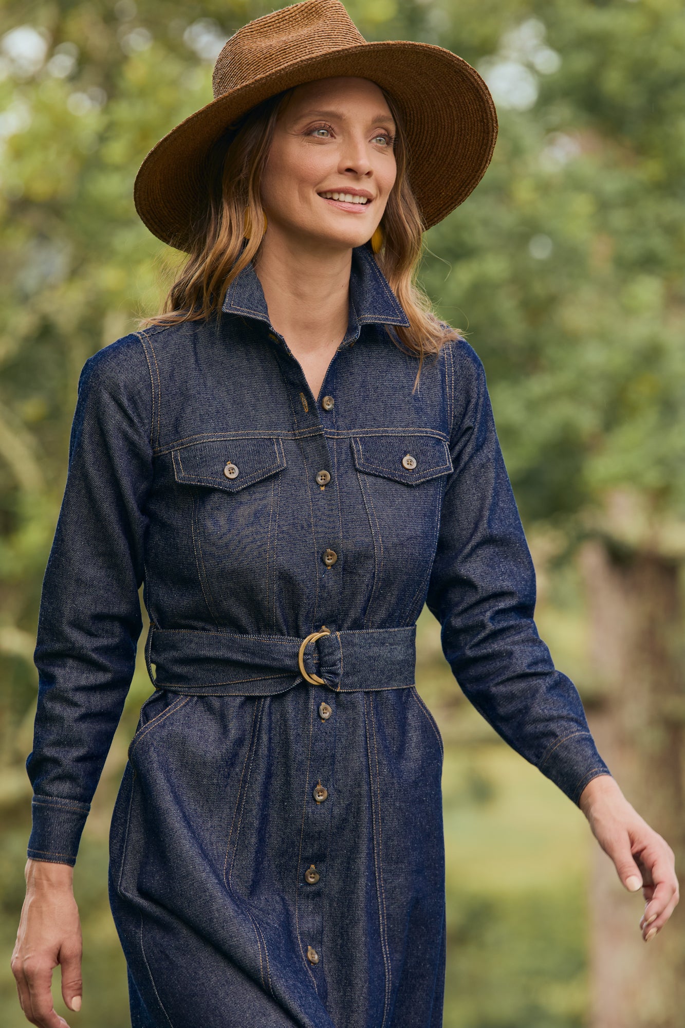 Bronte Denim Dress