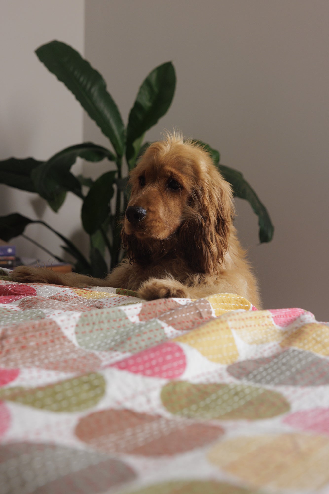 Kantha Quilt Earth